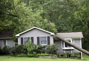 Storm Damage Restoration: Protecting Your Home After a Storm | Drywall Repair La Crescenta CA