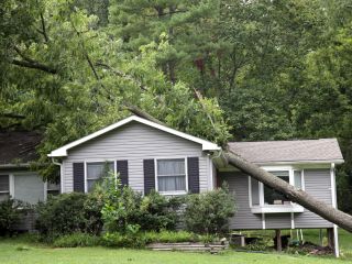 Protecting Your Home After a Storm | Drywall Repair La Crescenta